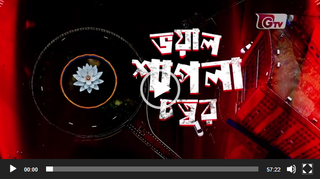 ভয়াল শাপলা । জি-টিভির অনুসন্ধান